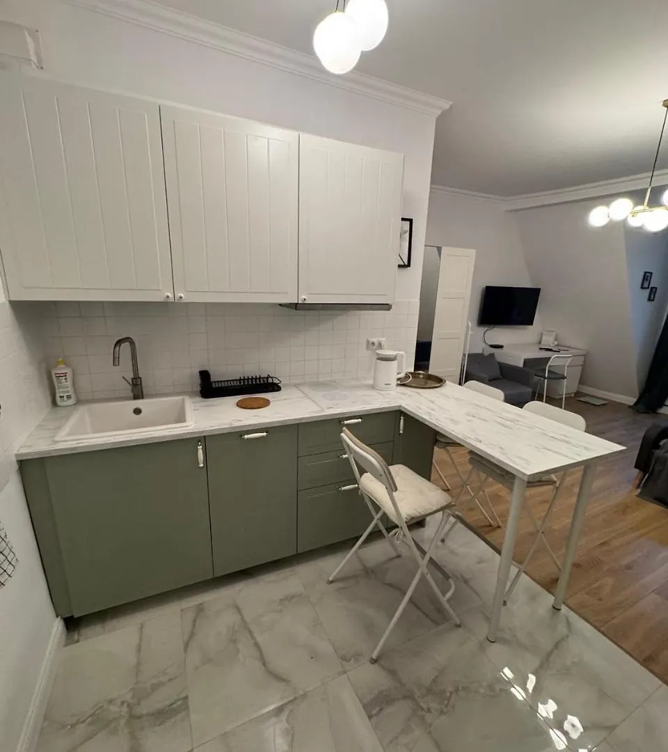Nowoczesna Kawalerka W Zabytkowej Kamienicy W Centrum Miasta Poznan Apartment